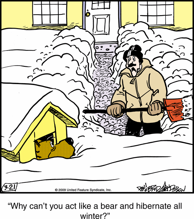 marmaduke